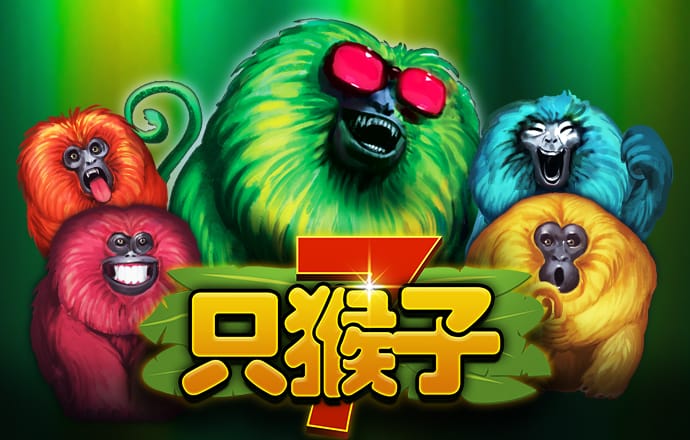 五点来料正版网址